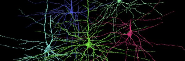 NetanelOfer Profile Banner