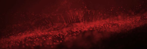 msp_insights Profile Banner