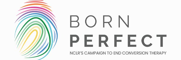 TheBornPerfect Profile Banner