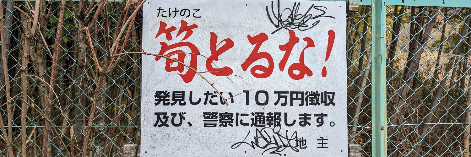 taquenov's profile banner image
