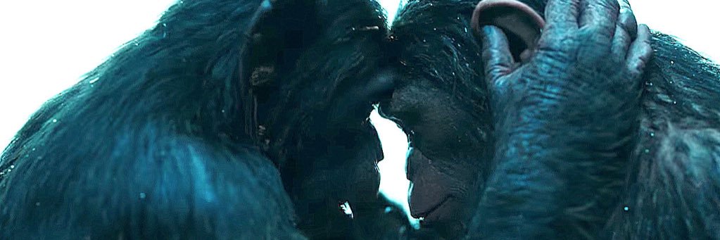 Max Lloyd-Jones banner