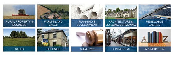 Robinson_Hall Profile Banner