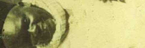 Dany banner