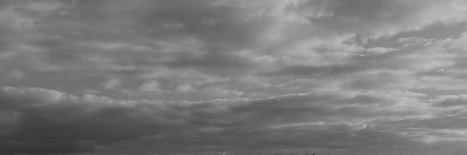 ª banner