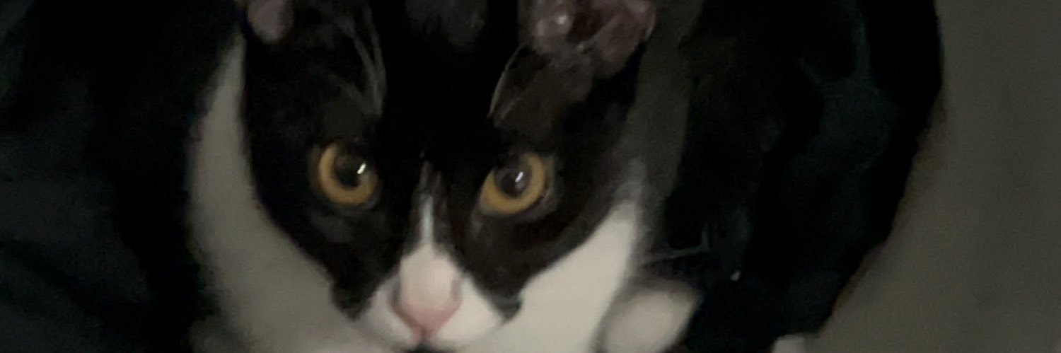 diego28793's profile banner image