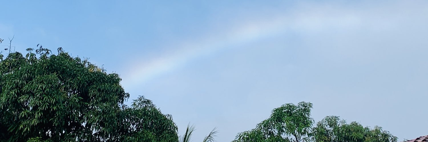liliamrp's profile banner image