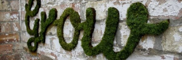 aloka2 Profile Banner