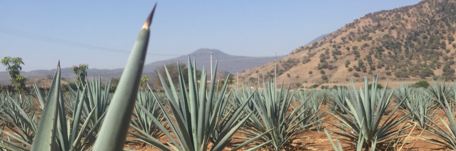 gonzalolabc's profile banner image