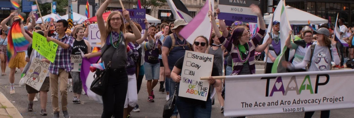 The Ace and Aro Advocacy Project banner