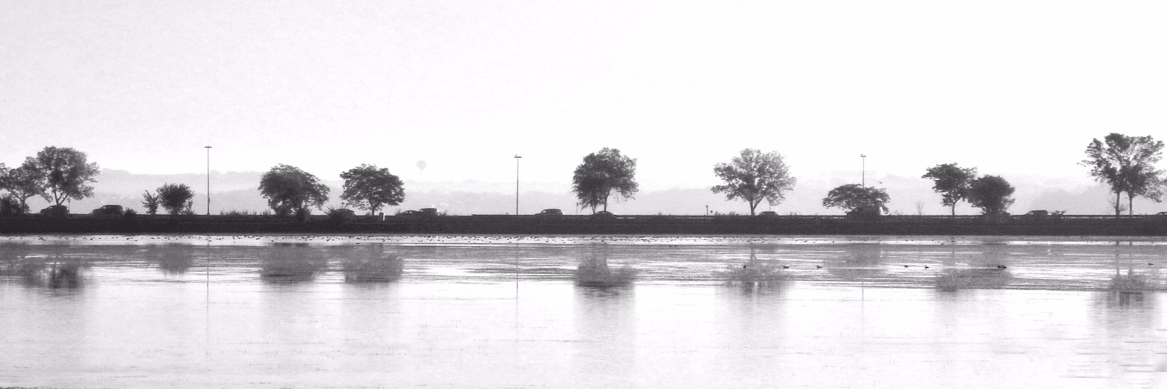 MadisonGuy's profile banner image