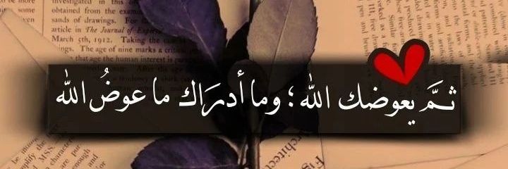 MSHAIL12345678's profile banner image