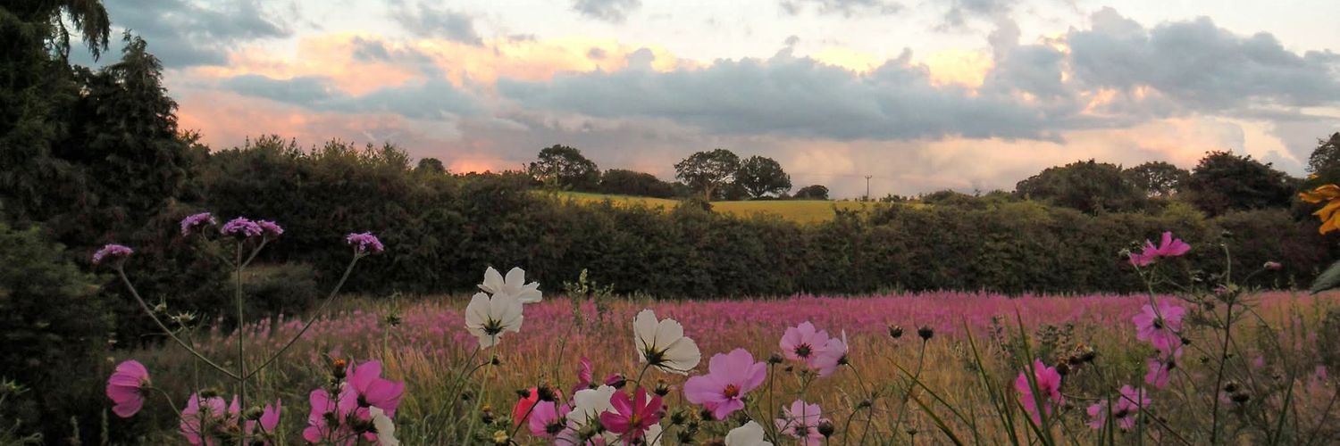 Catherine Mustoe banner