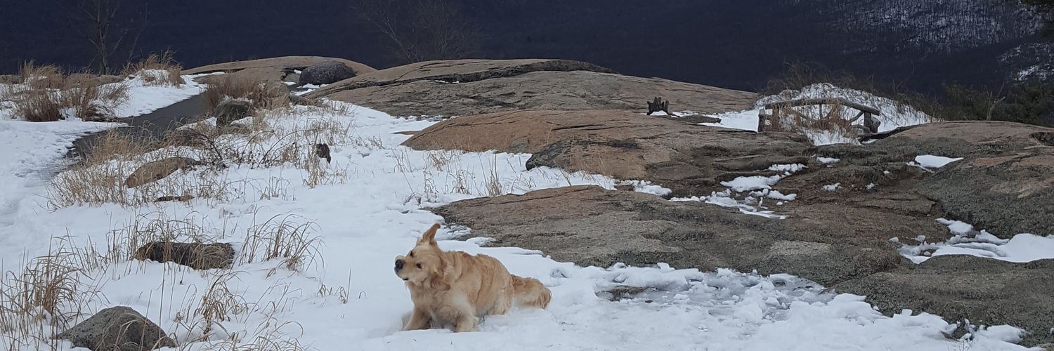 tinker_dixon's profile banner image