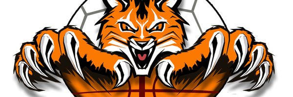 TravisMSBobcats Profile Banner