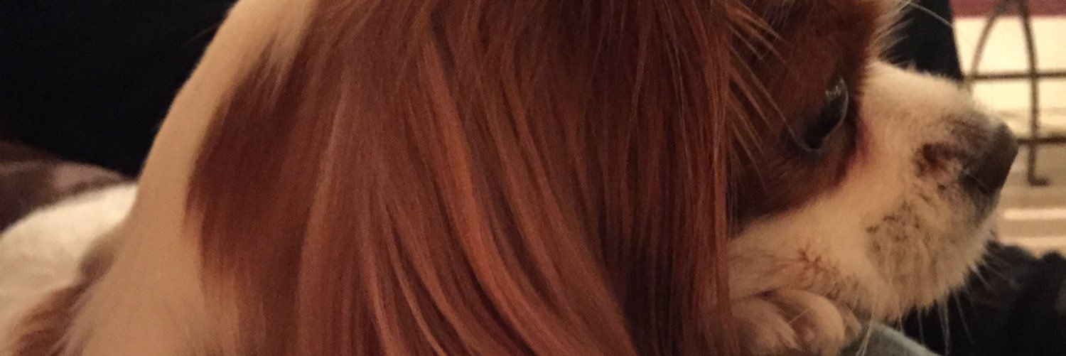 gemina1's profile banner image