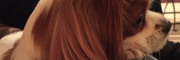 gemina1 Profile Banner