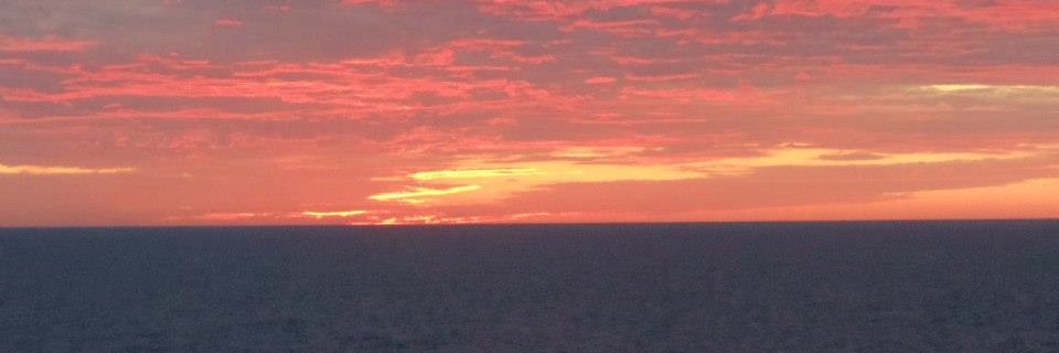 SallyAnglesea's profile banner image