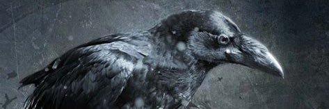 noname banner