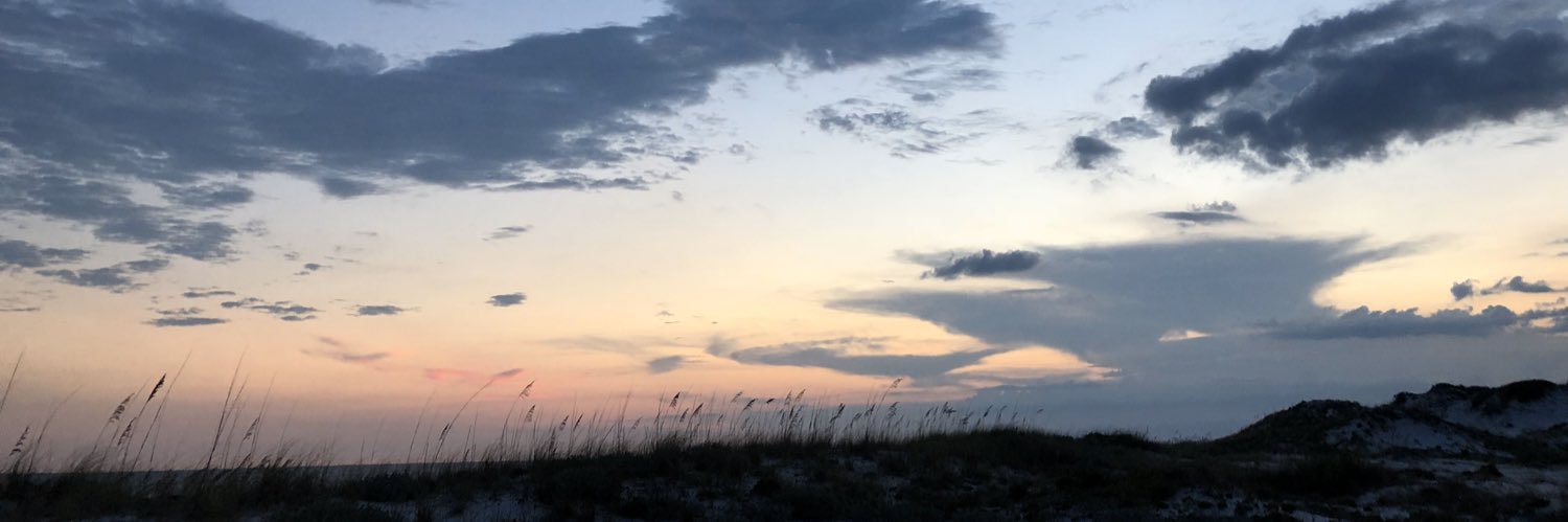 𝑭𝒆𝒆𝒍𝒊𝒏𝒈𝒔 banner