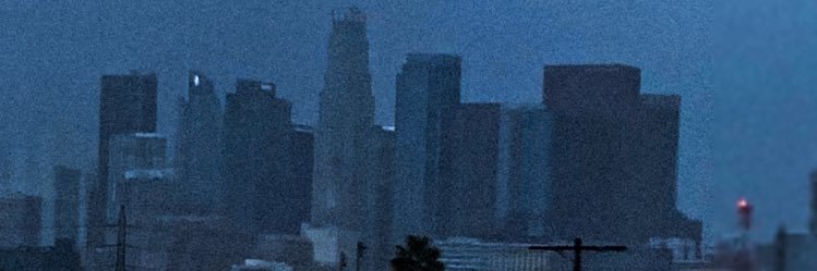 alex banner
