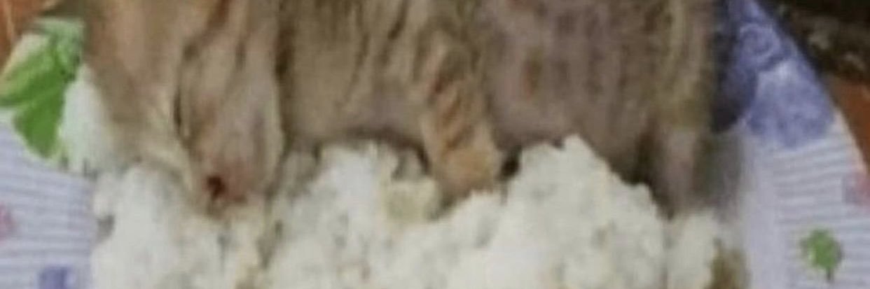 LuckLoose69's profile banner image