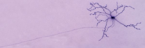 DiegoUsingTw Profile Banner