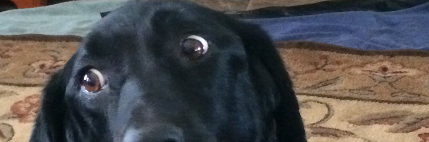JustAGuy banner
