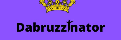 dabruzzinator's profile banner image