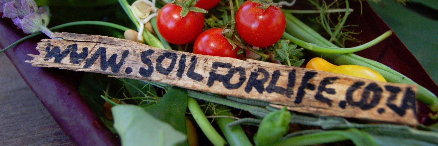 SoilForLife's profile banner image