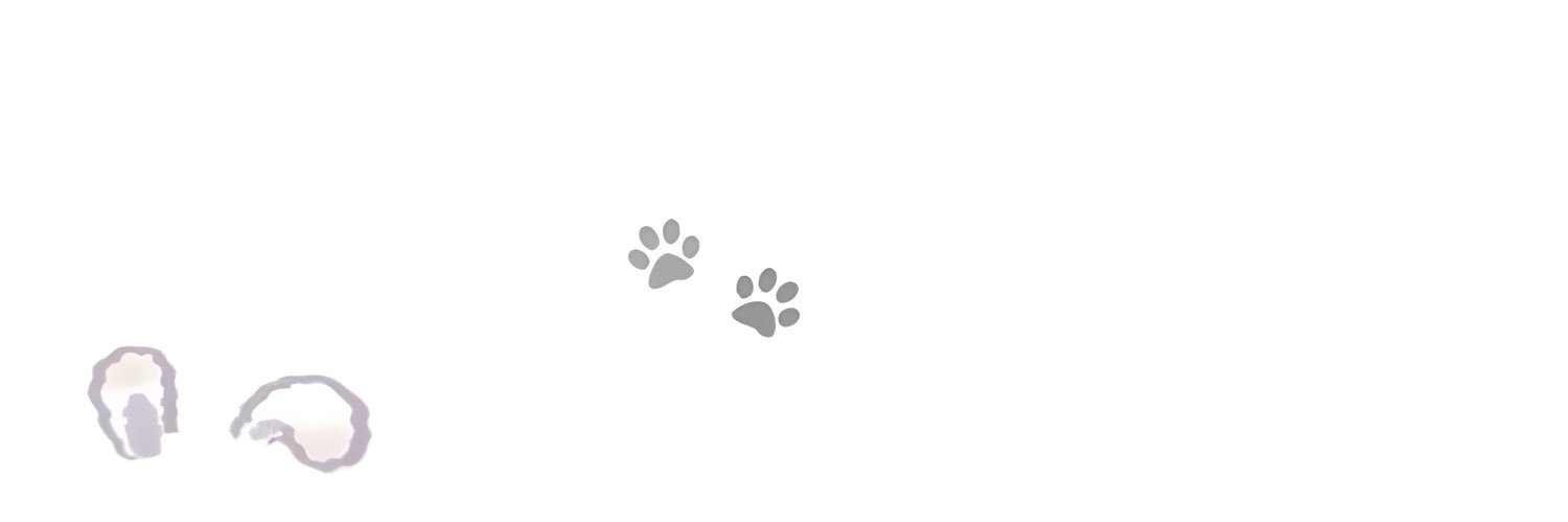 sasha ඞ 🇺🇦🇵🇸 banner