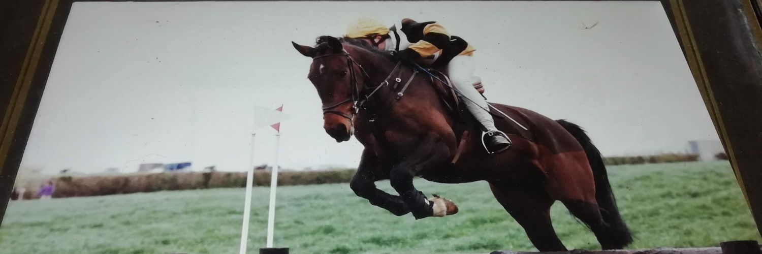 HARRIET FLETCHER banner