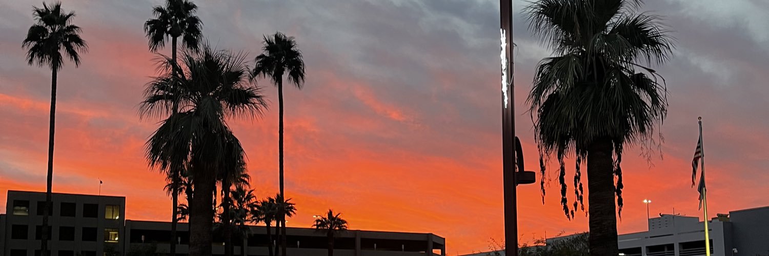 caroltsoaress's profile banner image