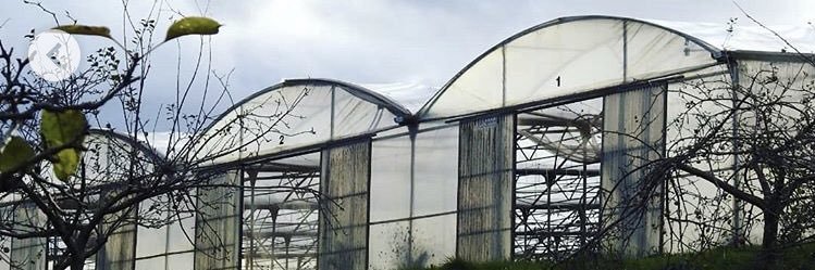 RuralECOLAB's profile banner image