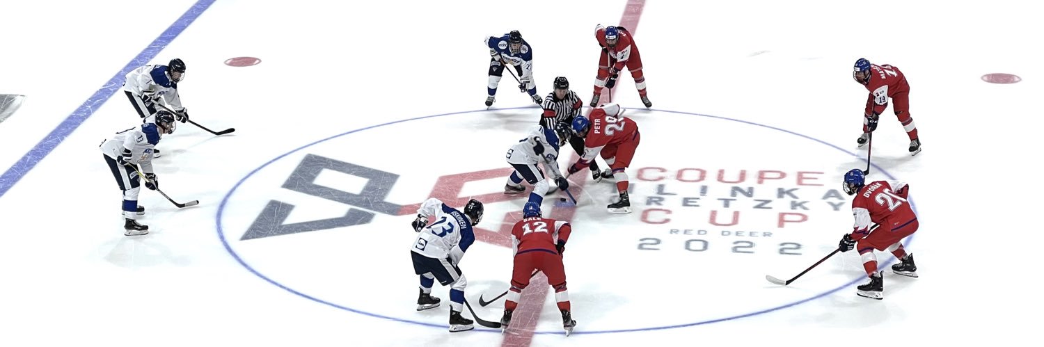 Czech Prospects banner