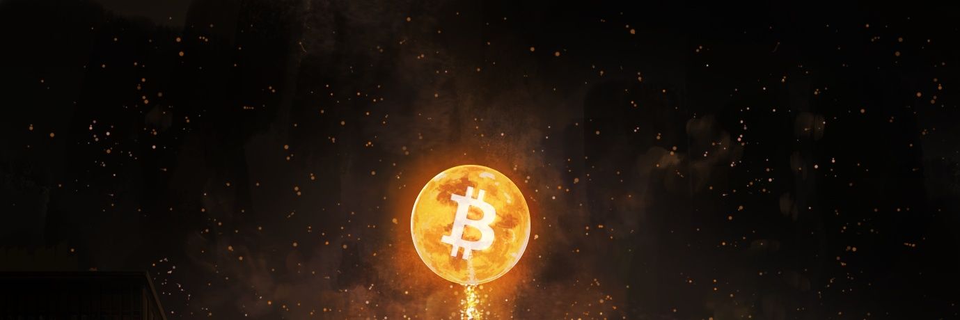 Crypto_FanBoy banner