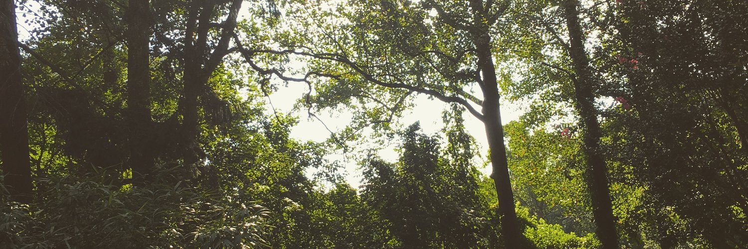 you_we's profile banner image