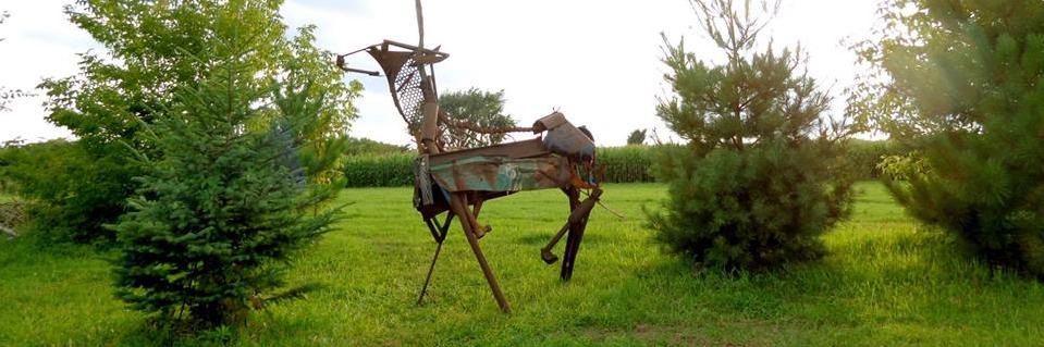 Adam McGee-Abe banner