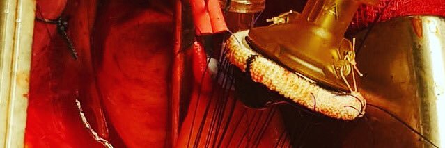 Dr Emmanuel Coyote 👨🏻‍⚕️🐺🫀 banner