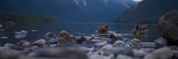 norbu09 Profile Banner