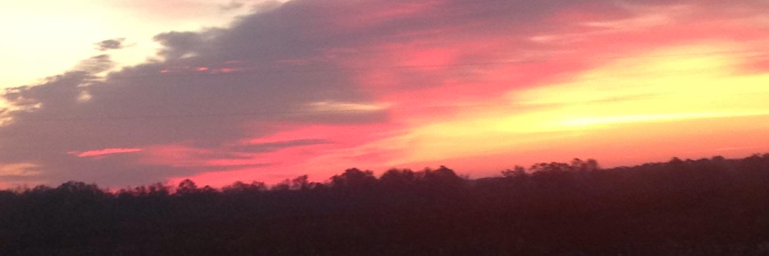 Jamie Godfrey banner