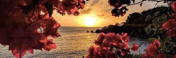 dina__47's profile banner image