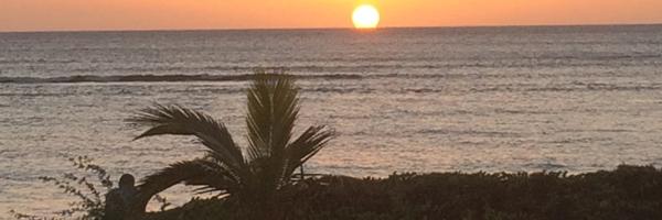 MegKaplun Profile Banner