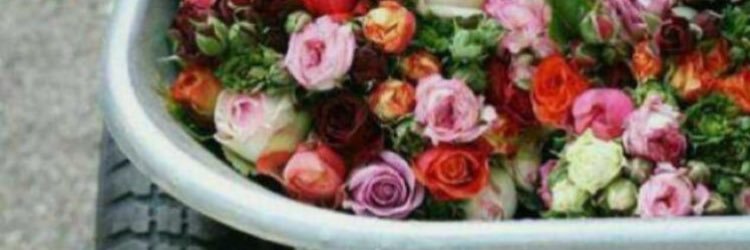 Girle6565's profile banner image