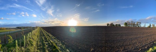 AmyTh0mas Profile Banner