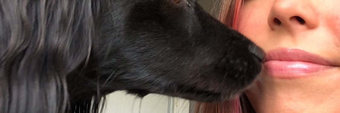LulaRBrun's profile banner image