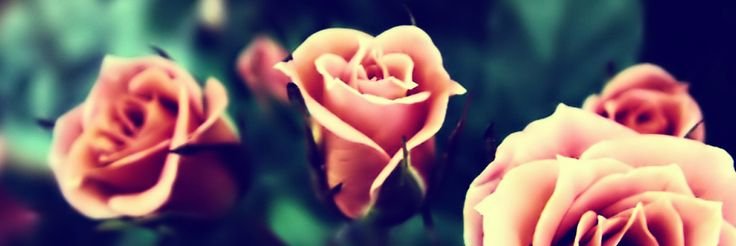 Nuala_92's profile banner image
