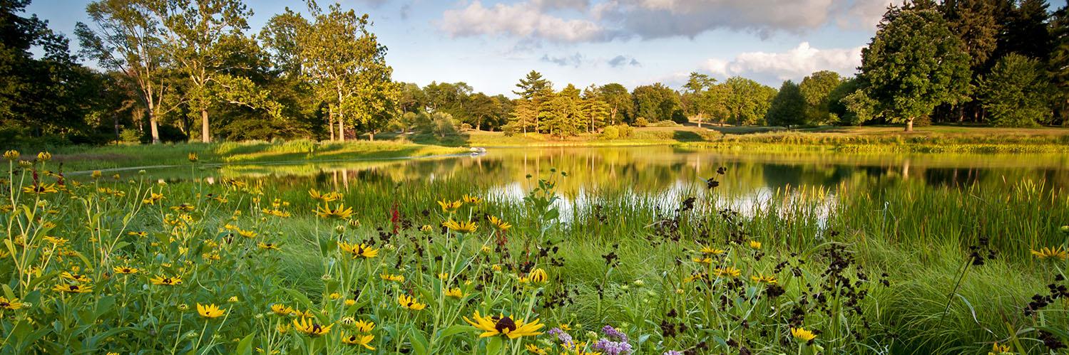 Iowa State NREM banner