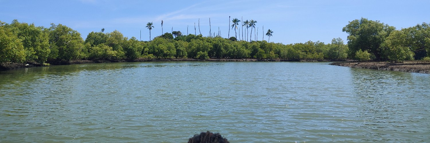 sirGilbertK's profile banner image