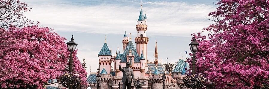 noor7344's profile banner image
