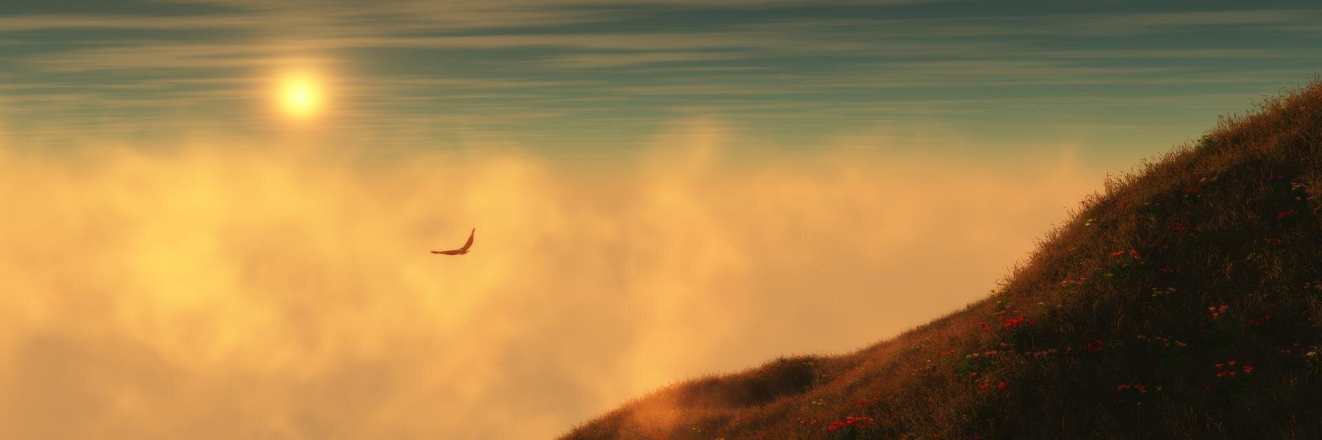 ankitkulsange's profile banner image